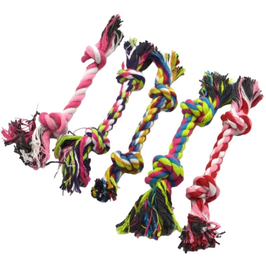 Colorful Braided Dog Toy