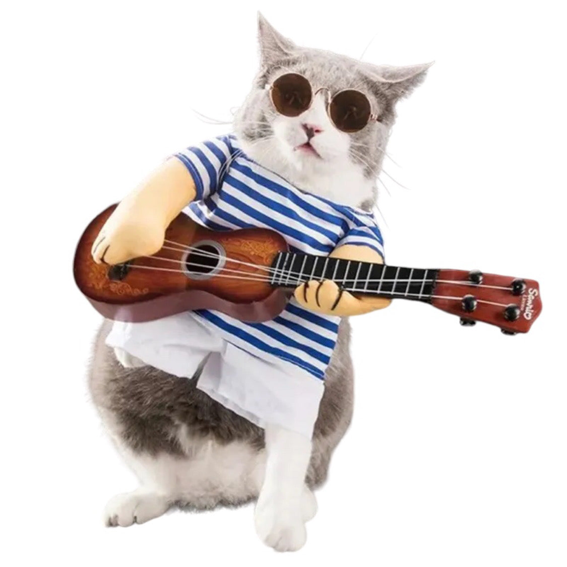 Cat Rockstar Guitar Outfit