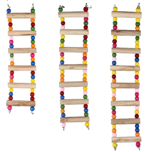 Colorful Bird Play Ladder