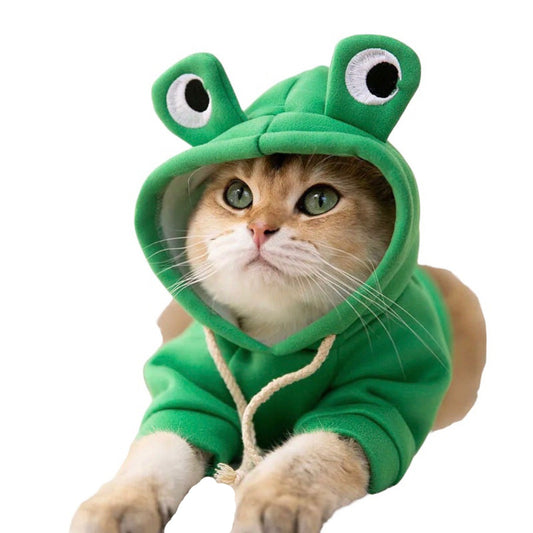 Cute Frog Cat Outfit