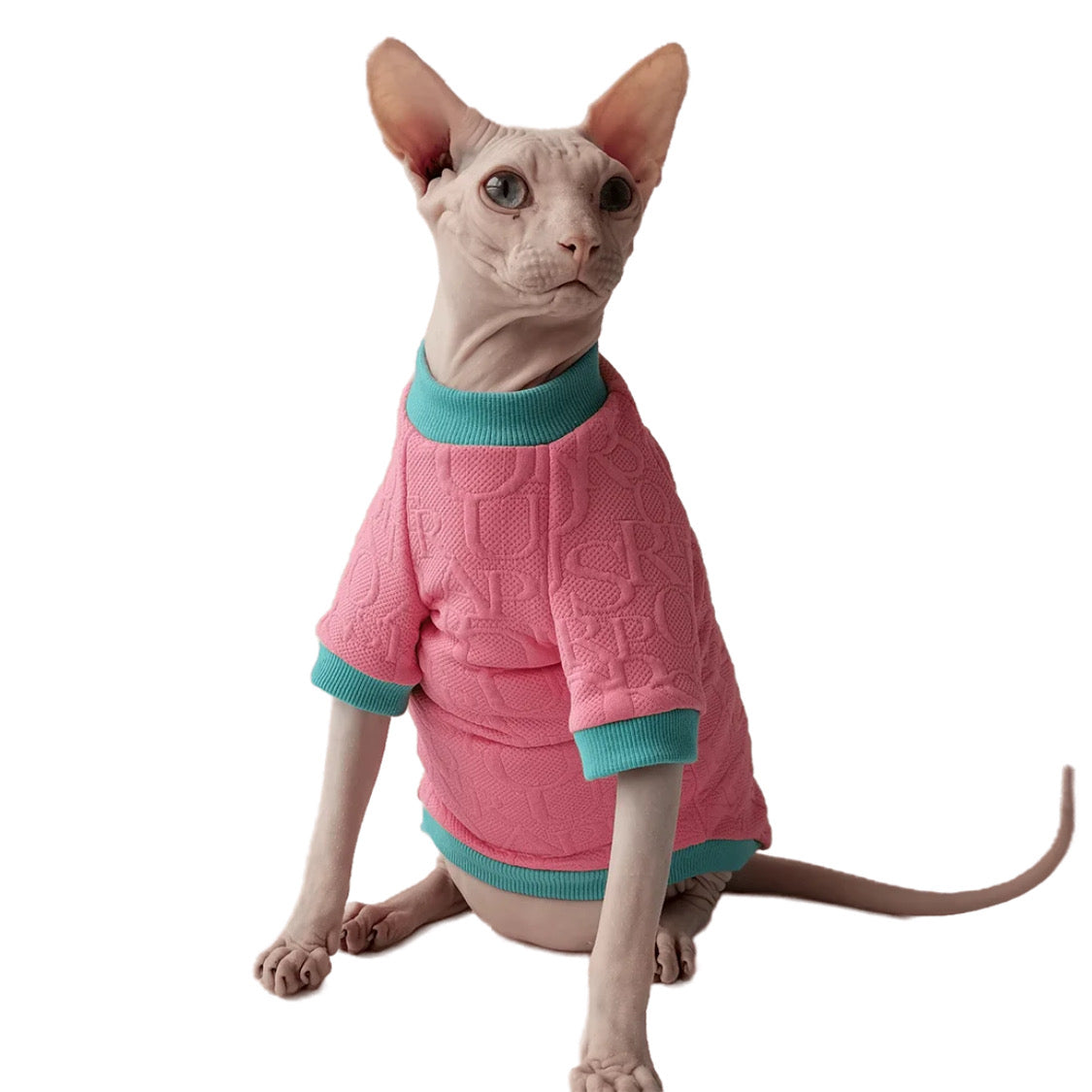 Cozy Kitty Pink Sweater