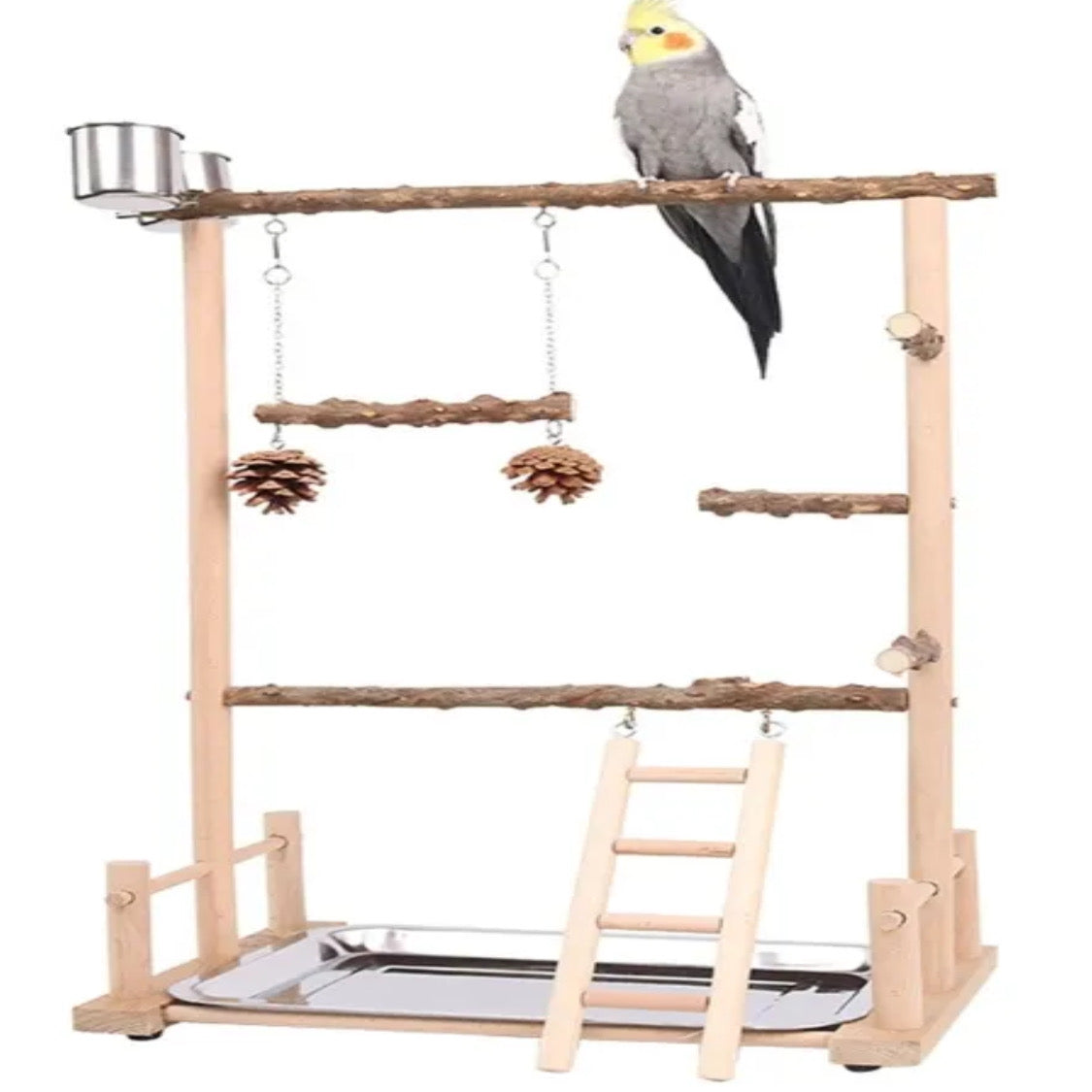 Natural Parrot Perch Playground