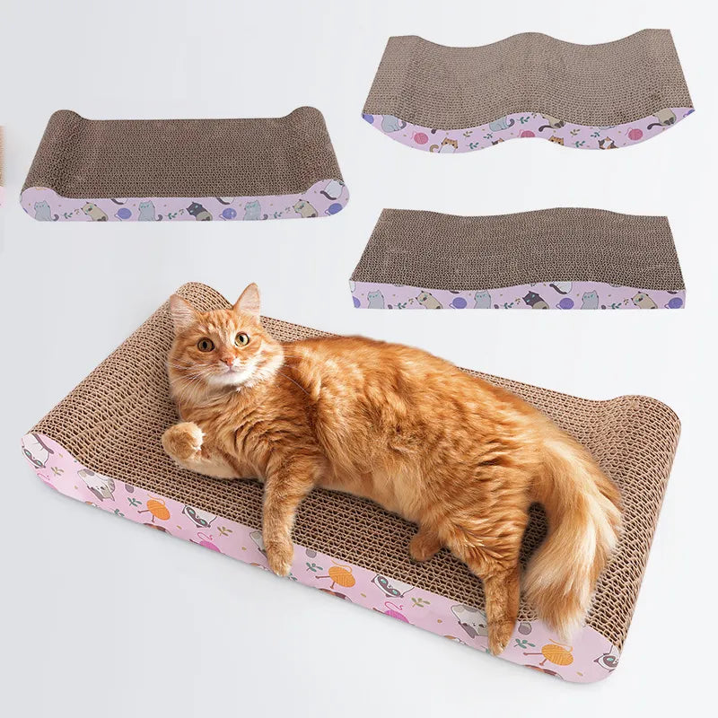 Playful Cat Scratching Board