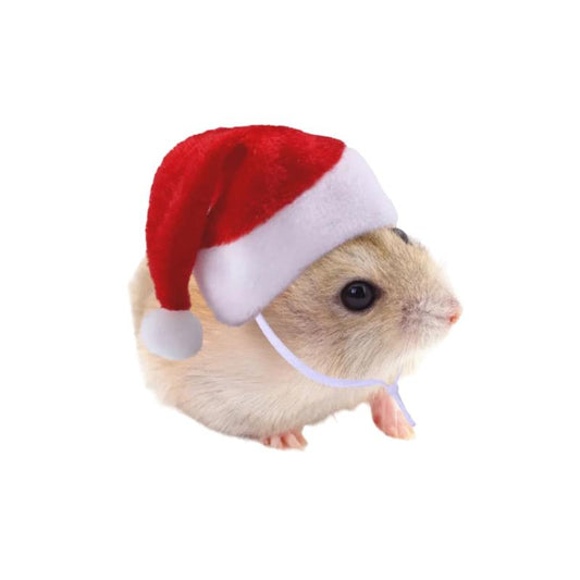 Christmas Cheer Hamster Cap