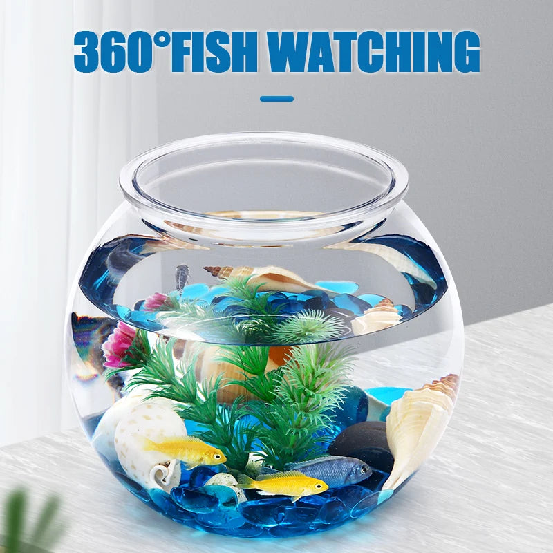 Small Fish Bowl Aquarium