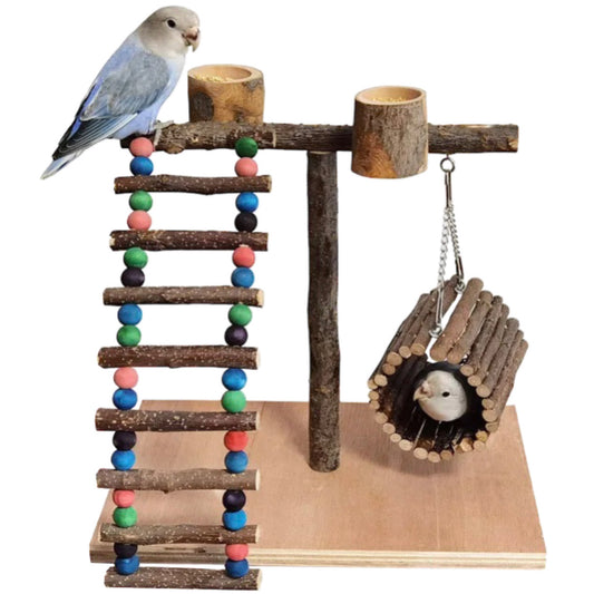 Bird Bead Perch Gym