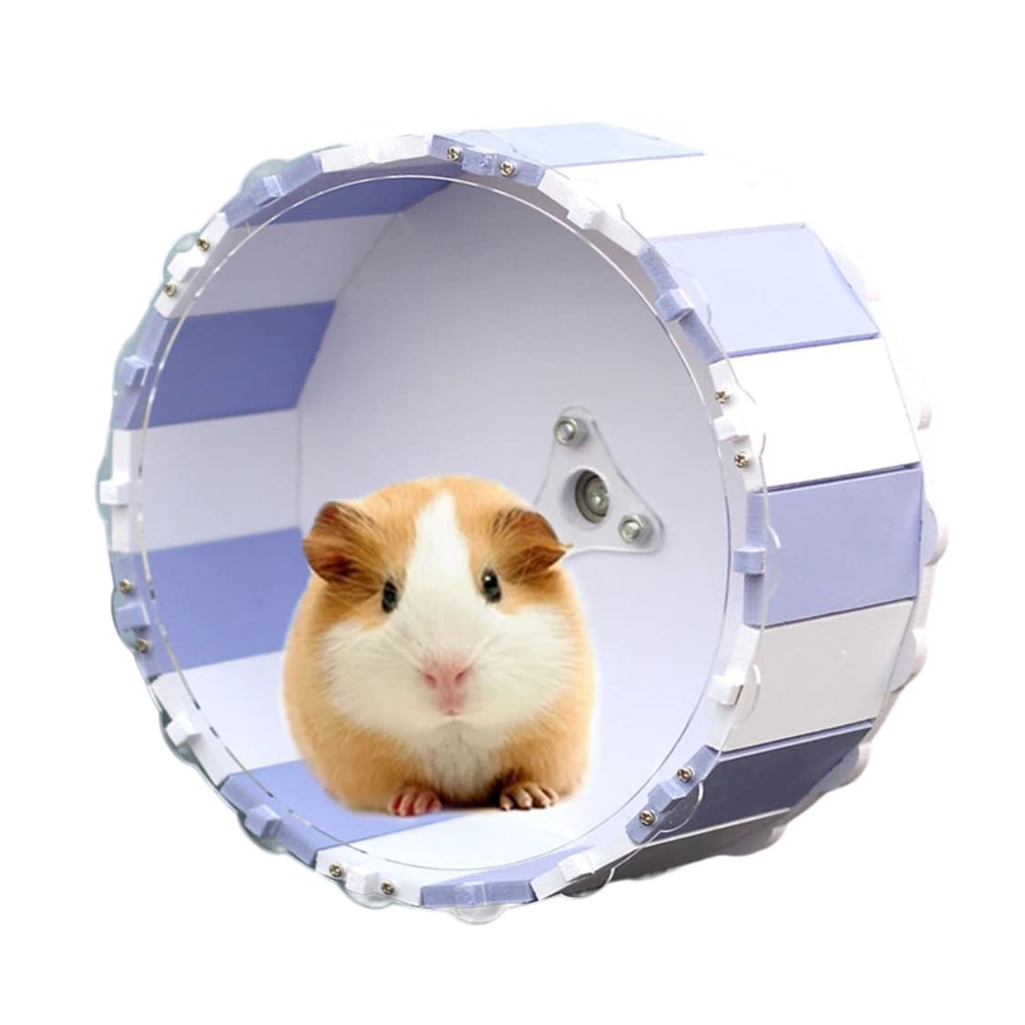 Modern Capsule Hamster Wheel