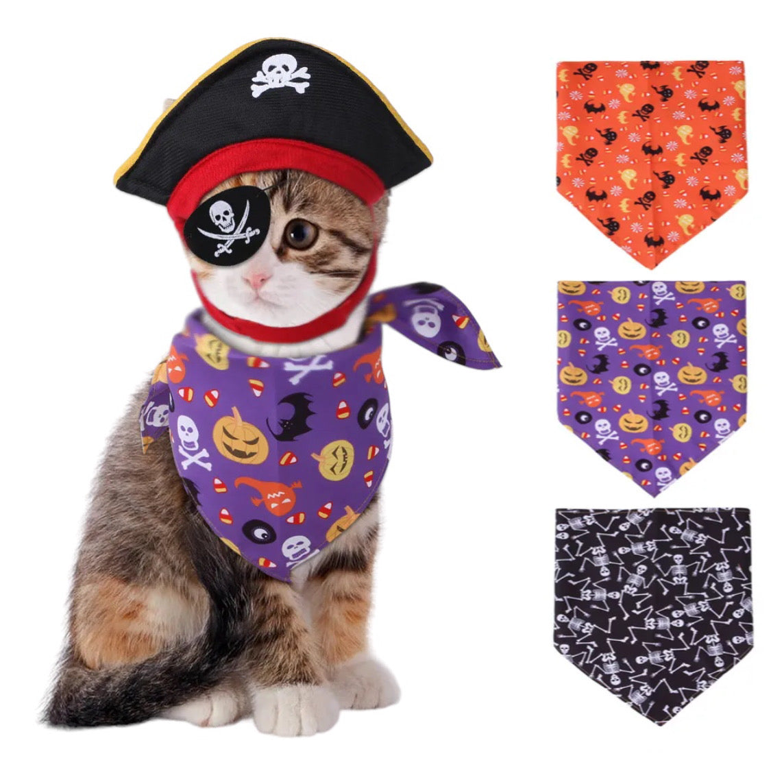 Complete Cat Pirate Set -  Pirate Hat, Bandana and Eye Patch