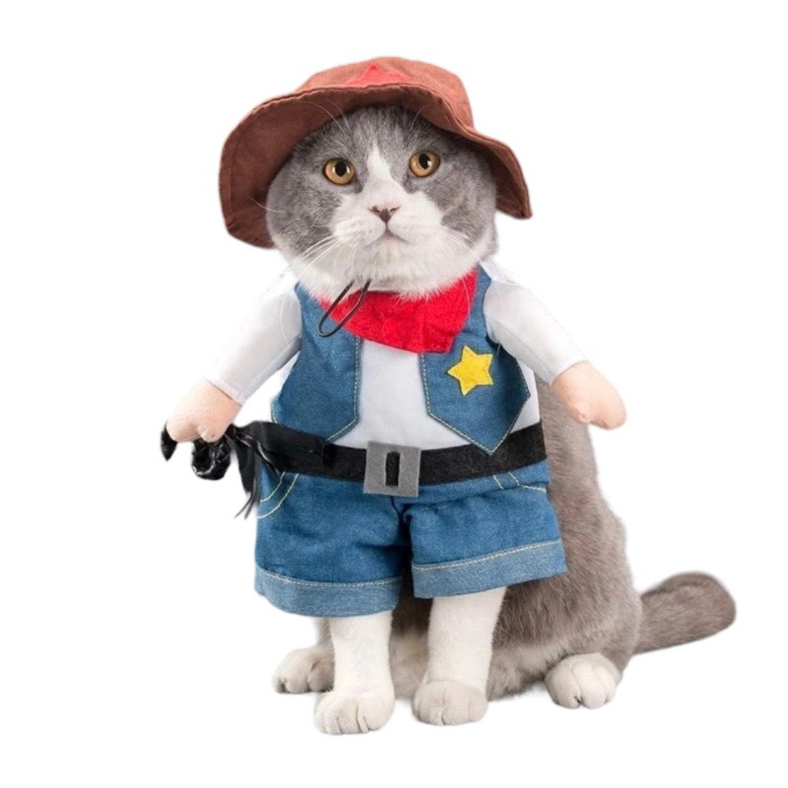 Cowboy Cat Sheriff Outfit