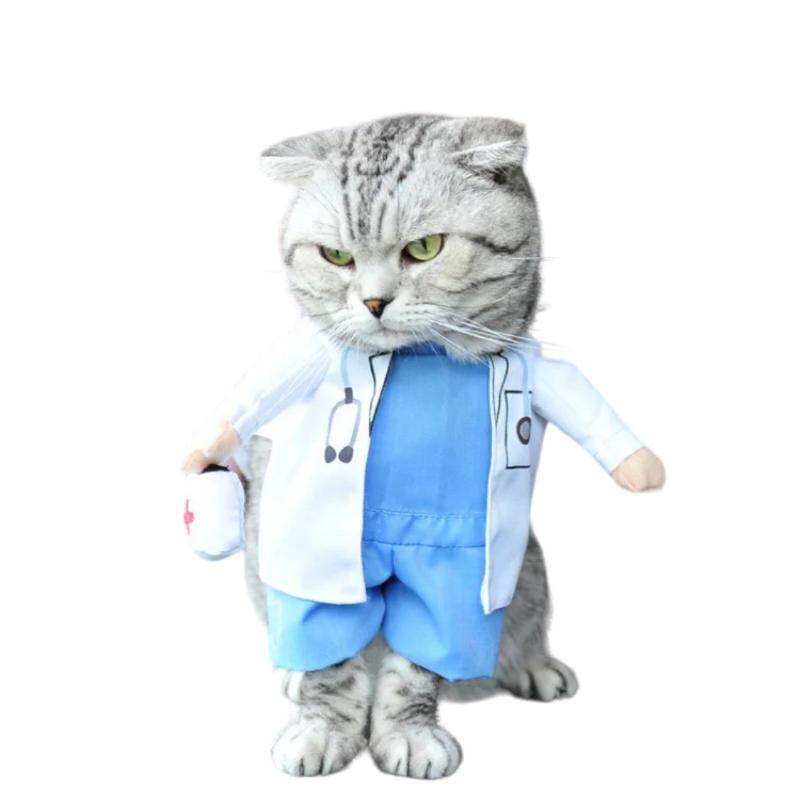 Professional Cat Doctor Costume