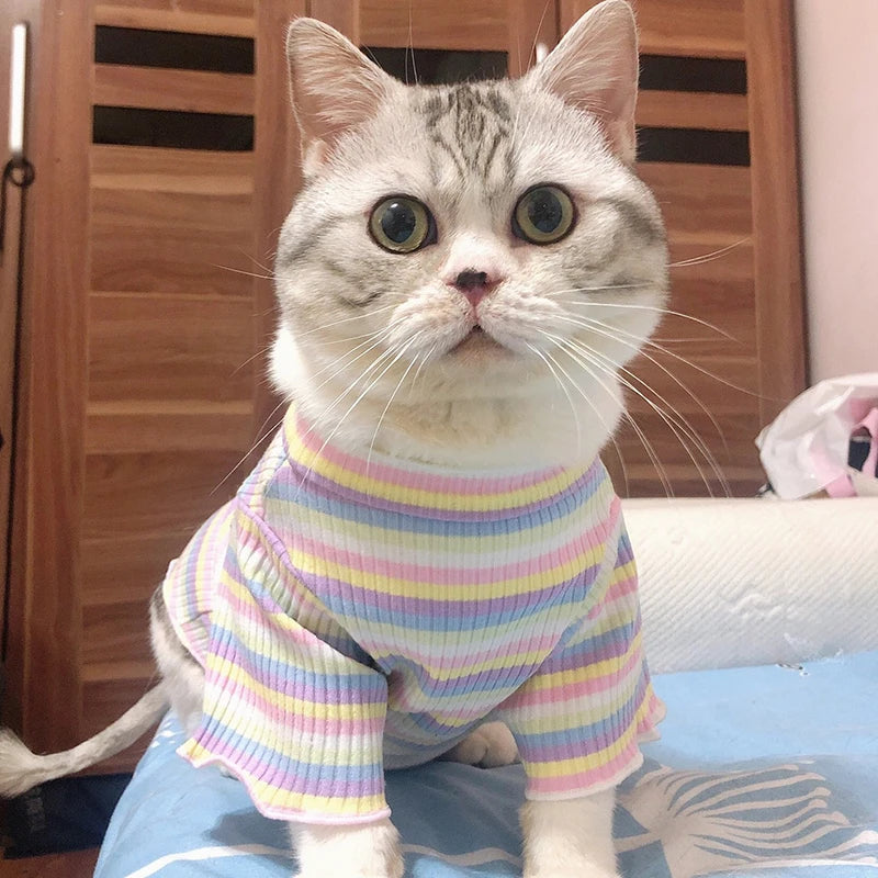 Summer Cat Fashion Shirt