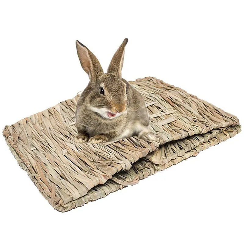 Natural Rabbit Shelter Hut