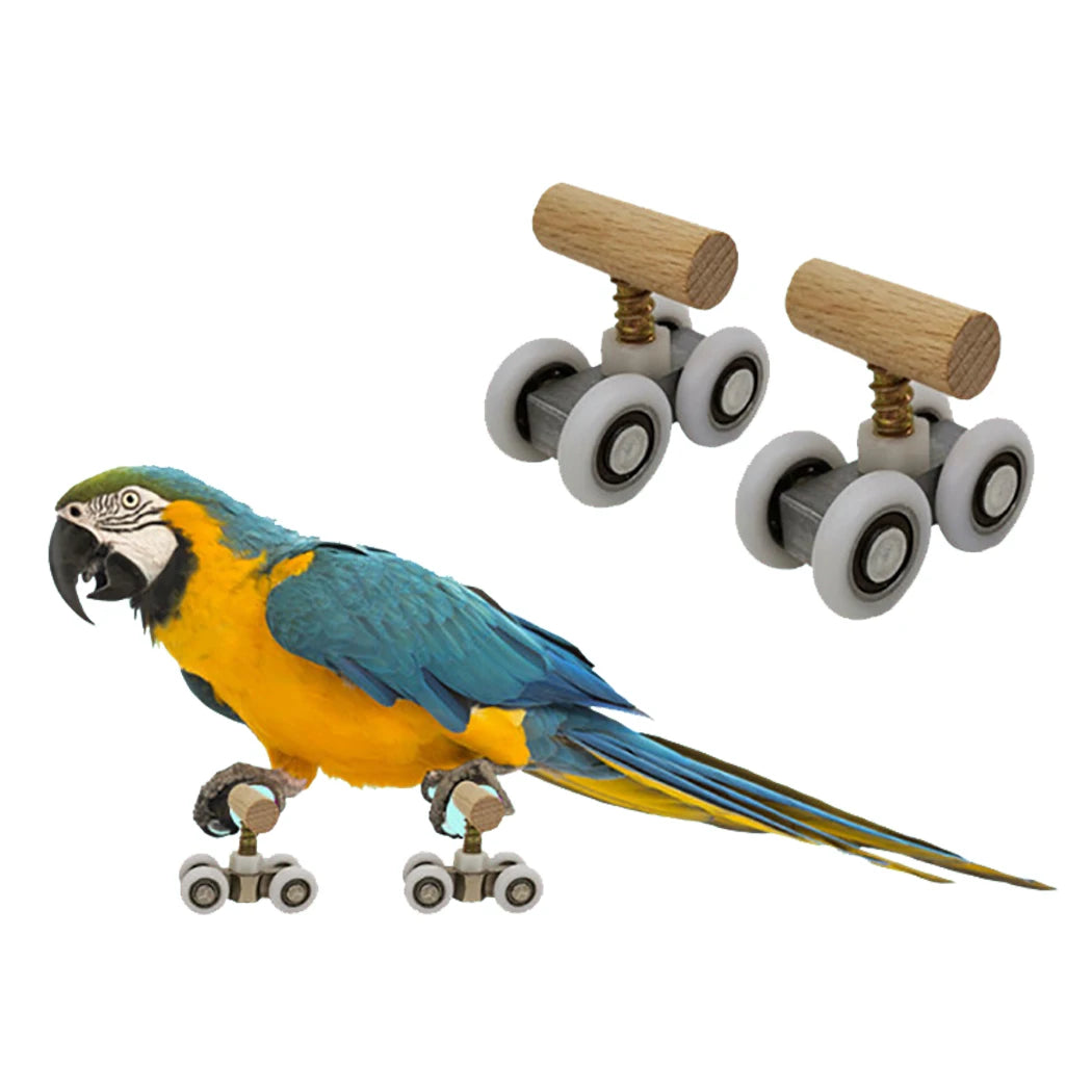 Parrot Miniature Skate Wheels