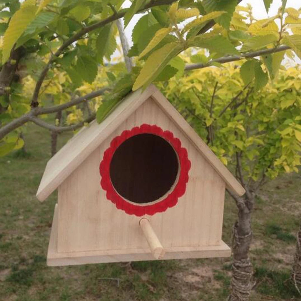 Charming Garden Birdhouse with Perch