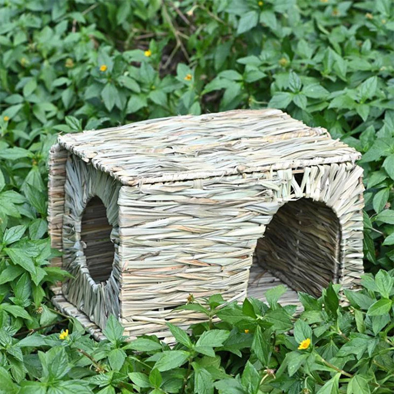 Natural Rabbit Shelter Hut