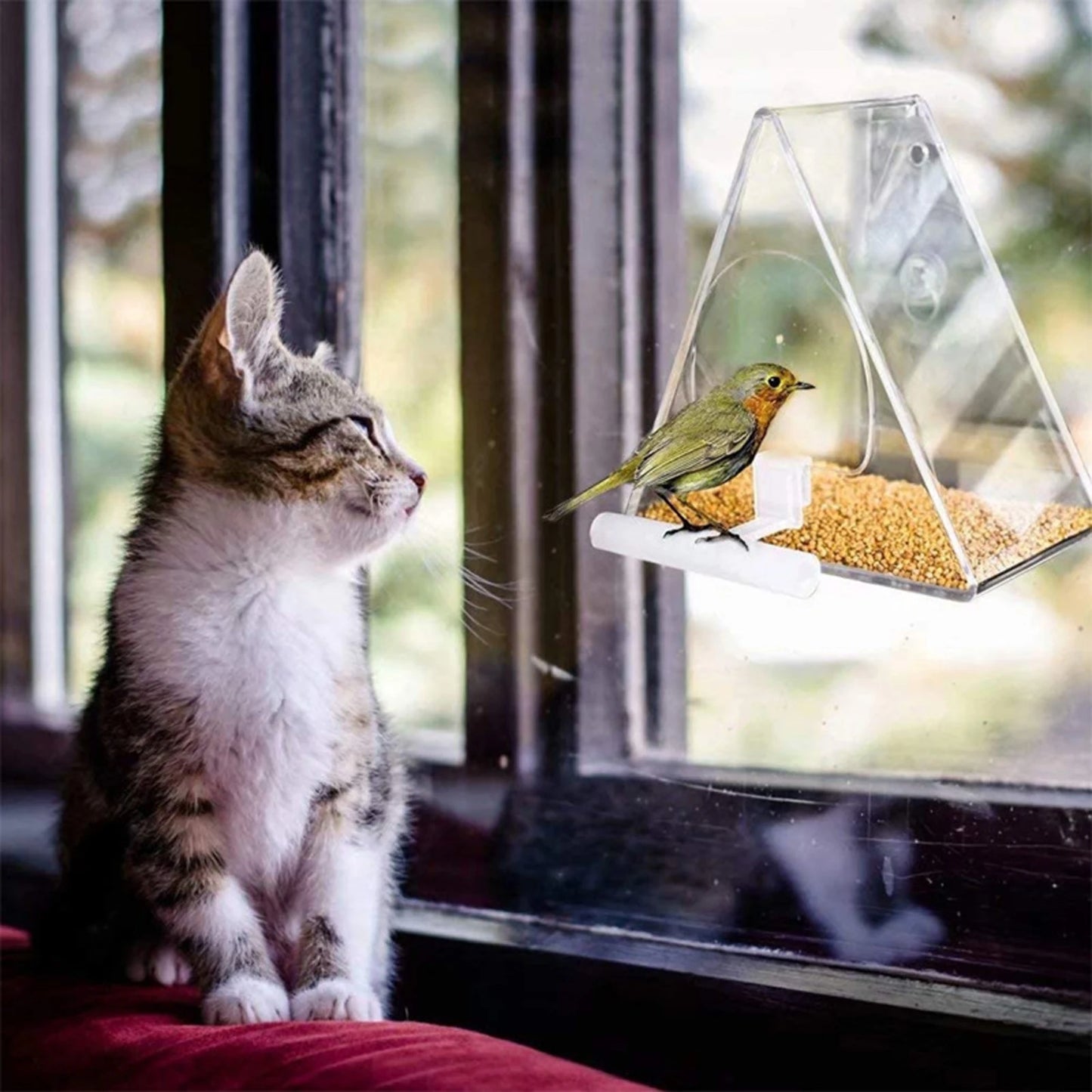 Transparent Bird Window Feeder