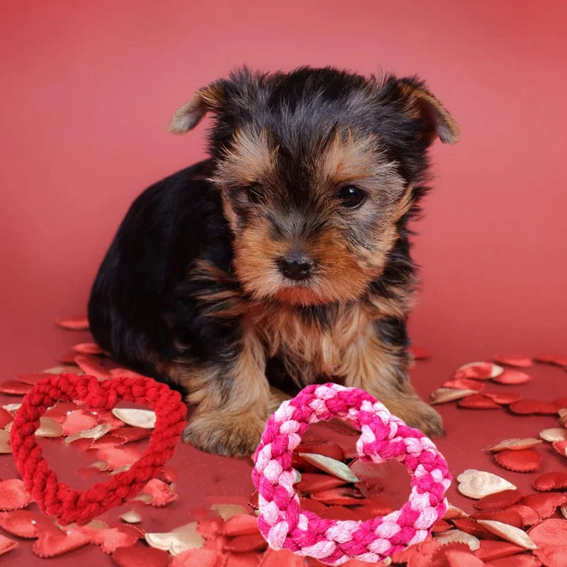 Cotton Rope Dog Toy Heart Design