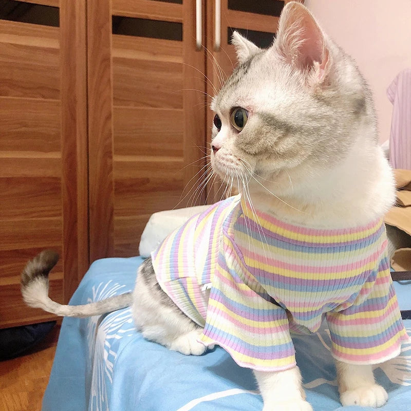 Summer Cat Fashion Shirt