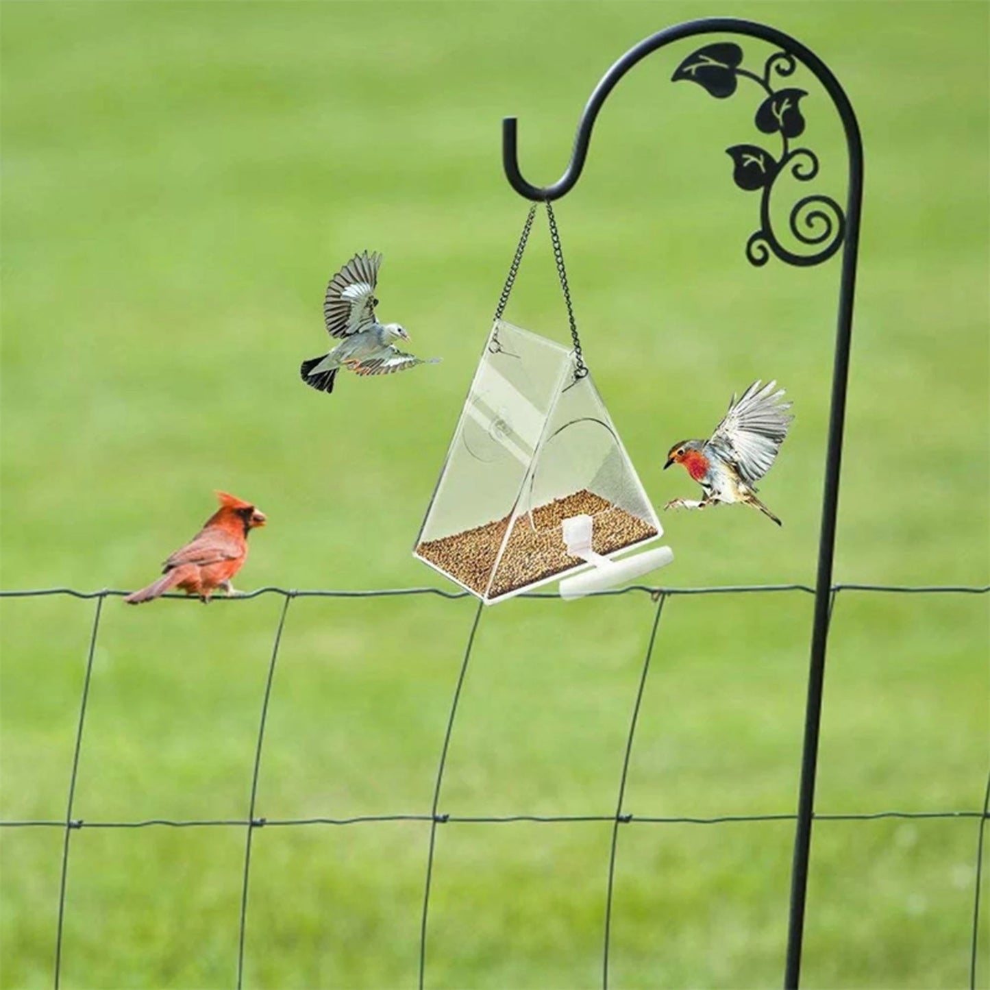 Transparent Bird Window Feeder