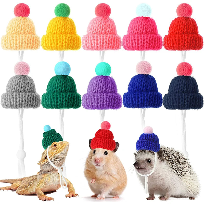 Adorable Small Pets Hats