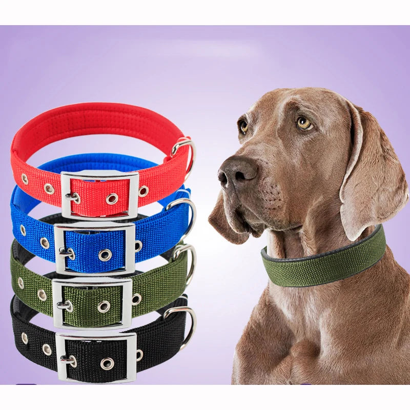 Adjustable Nylon Dog Collar