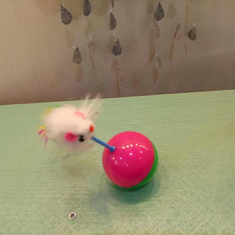 Cat Ball with Mouse and Feather Play Toy