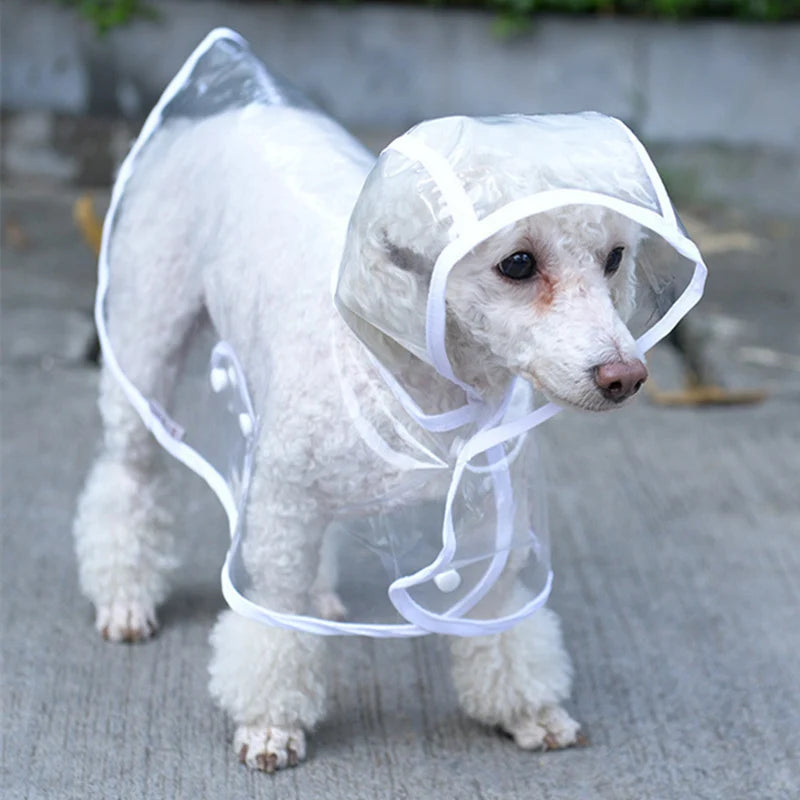 Clear Chic Pet Raincoat - Stay Dry in Style