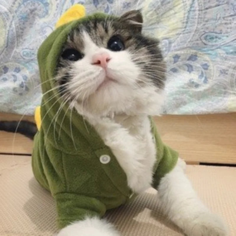 Green Dinosaur Cat Cosplay