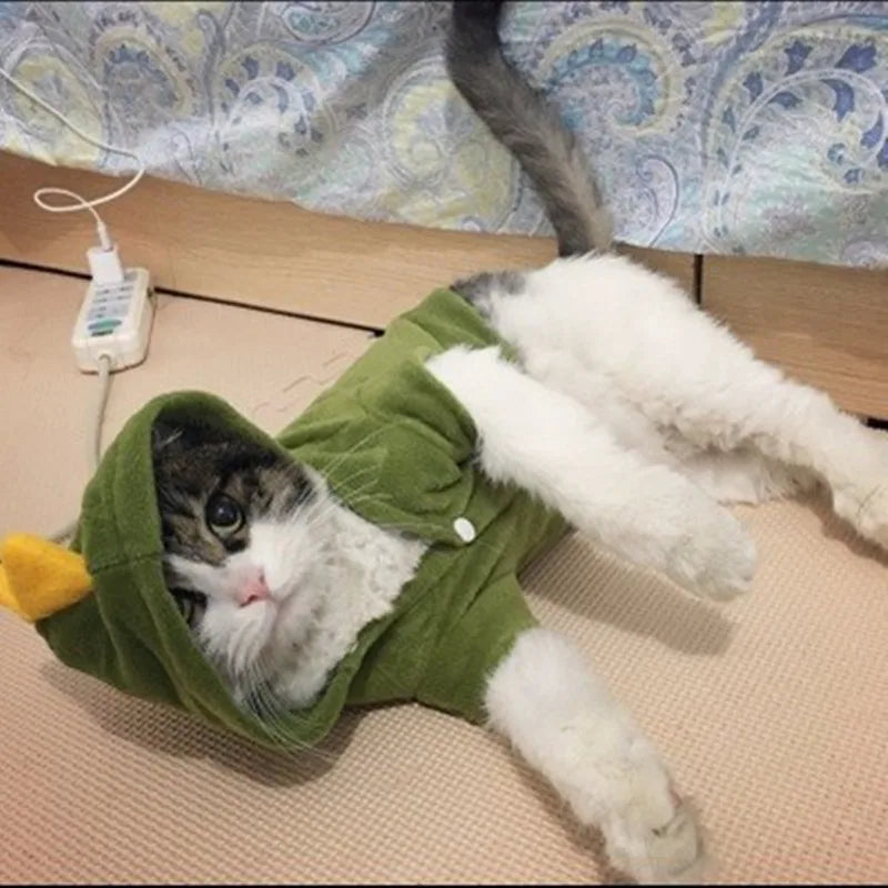 Green Dinosaur Cat Cosplay