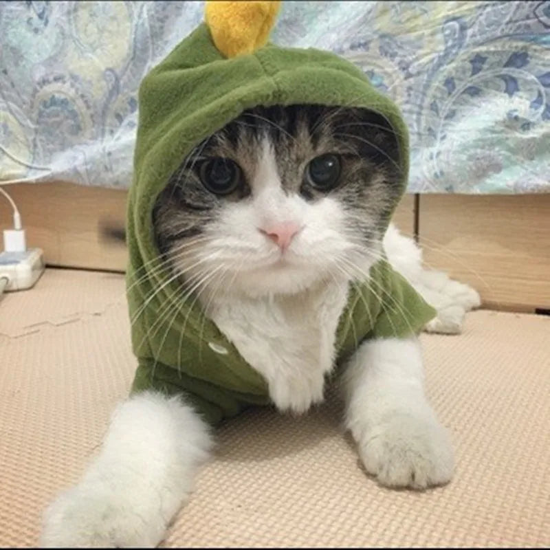 Green Dinosaur Cat Cosplay