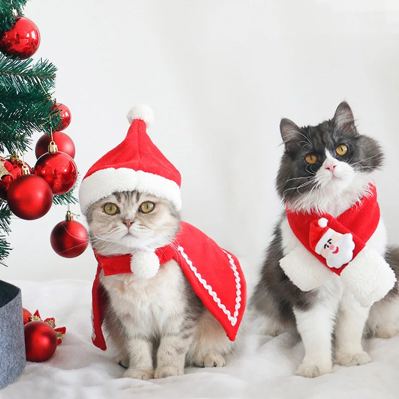 Christmas Costume for Kittens