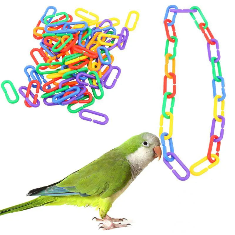 Colorful Bird Chain Links