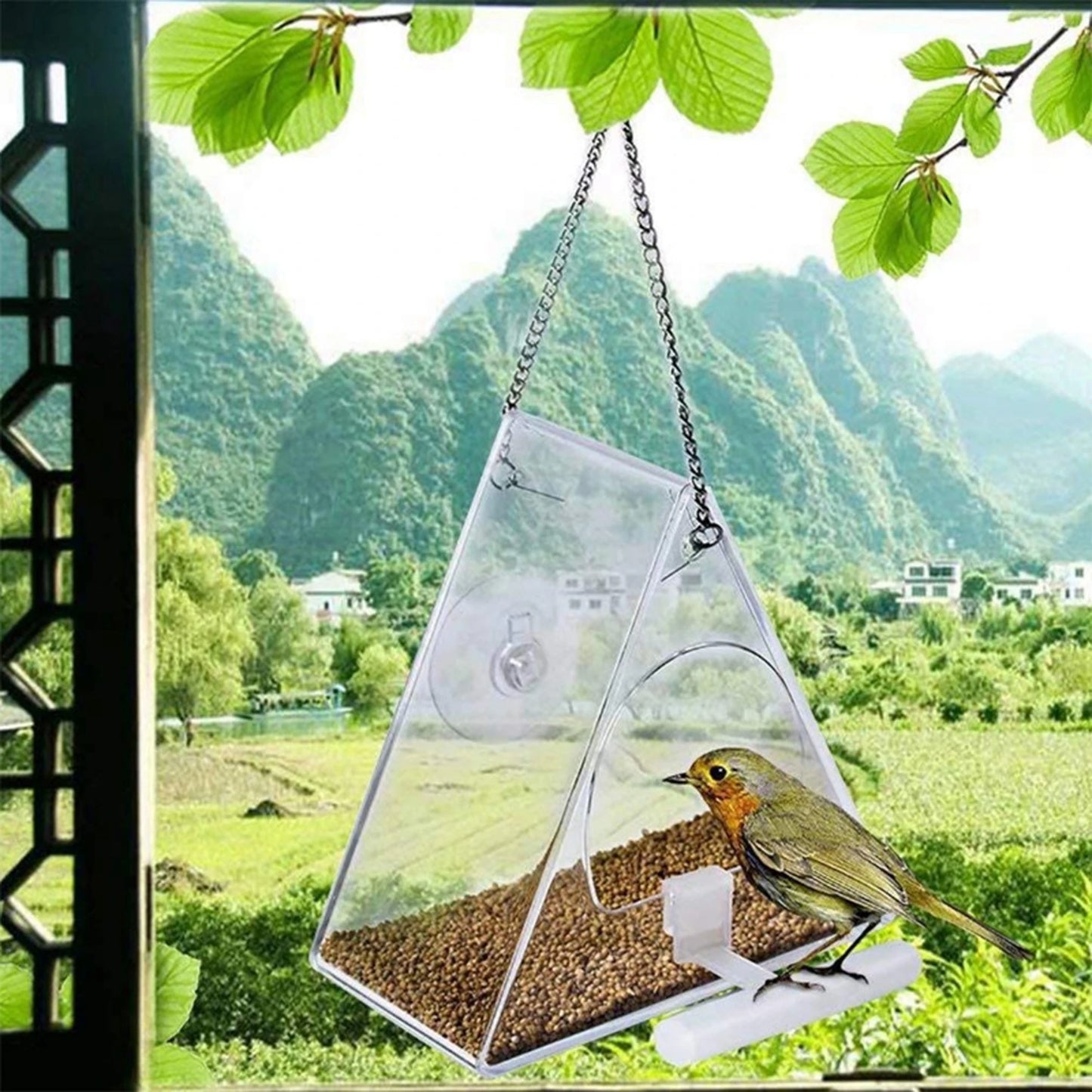 Transparent Bird Window Feeder