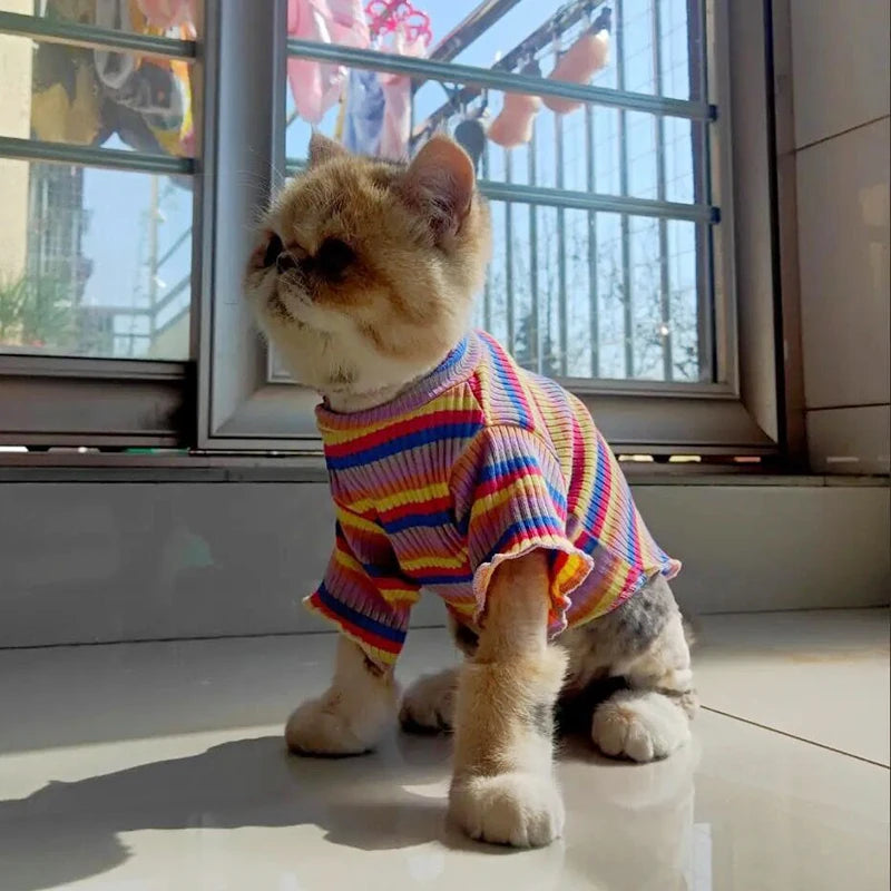 Summer Cat Fashion Shirt