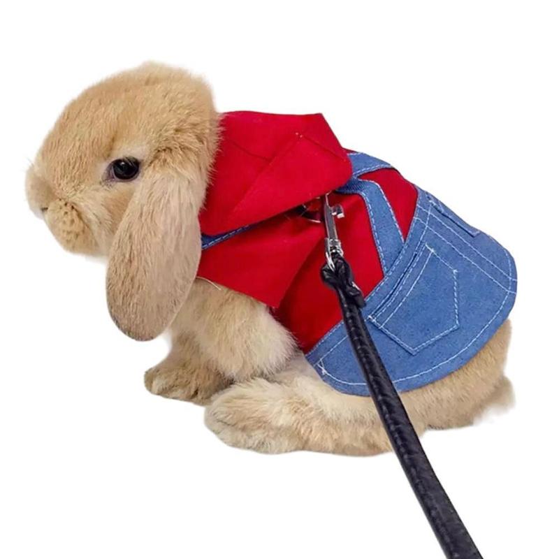 Bunny Coat with Leash