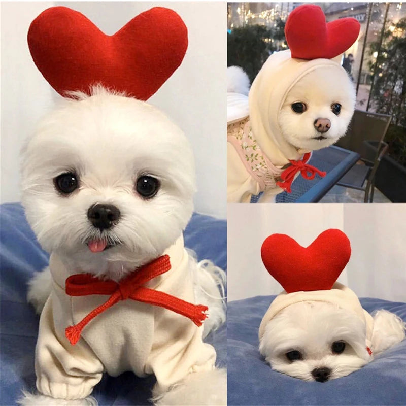 Heart Hooded Dog Cape - Cuddly Love for Your Furry Valentine!