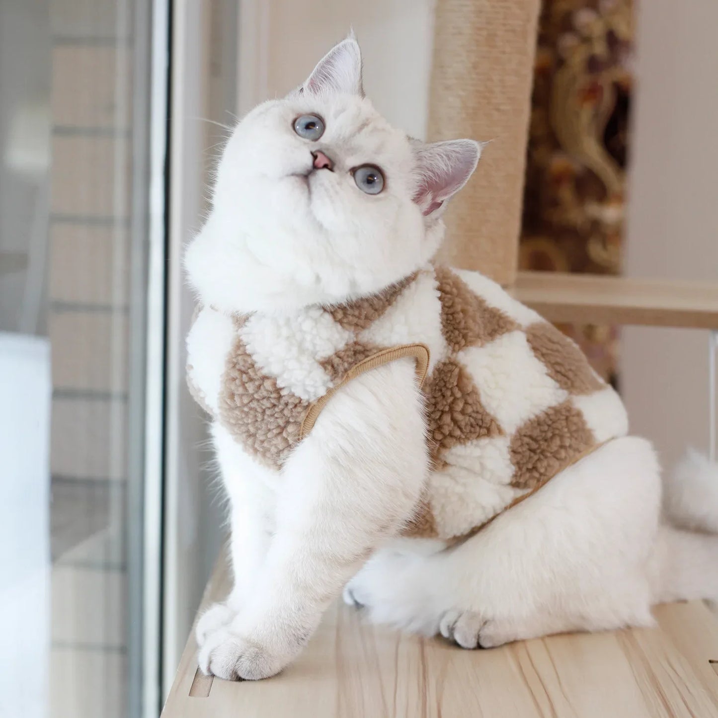 Plush Checkered Cat Sweater