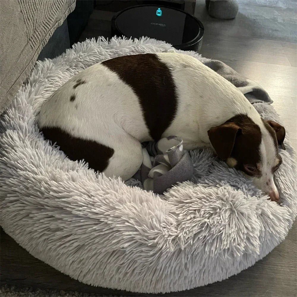 Plush Large Dog Bed