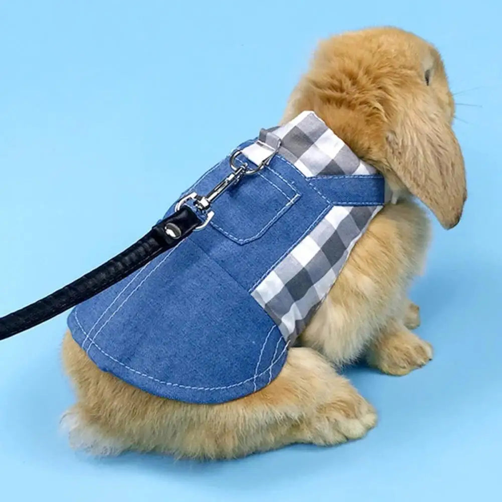 Bunny Coat with Leash