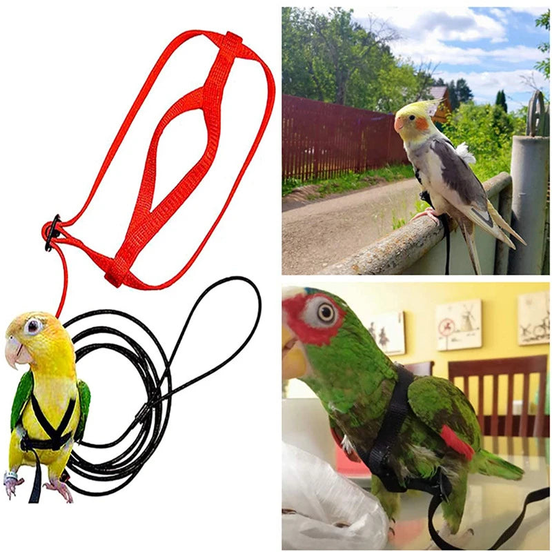 Adjustable Parrot Safety Harness