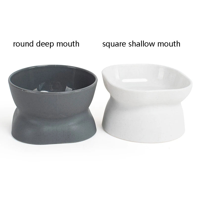 Modern Raised Cat Bowl