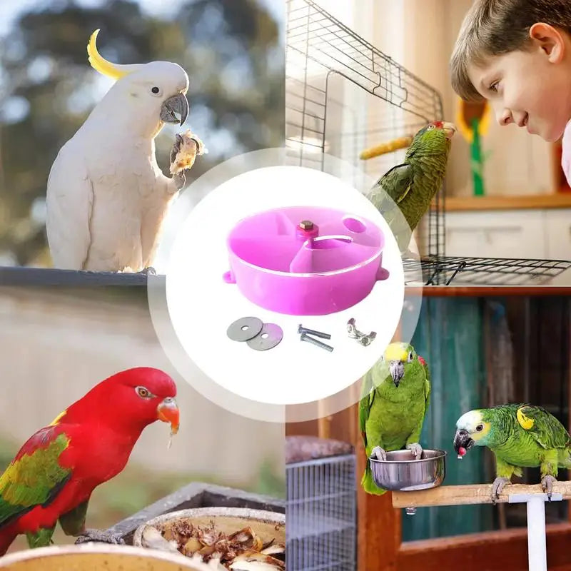 Interactive Parrot Feeding Station