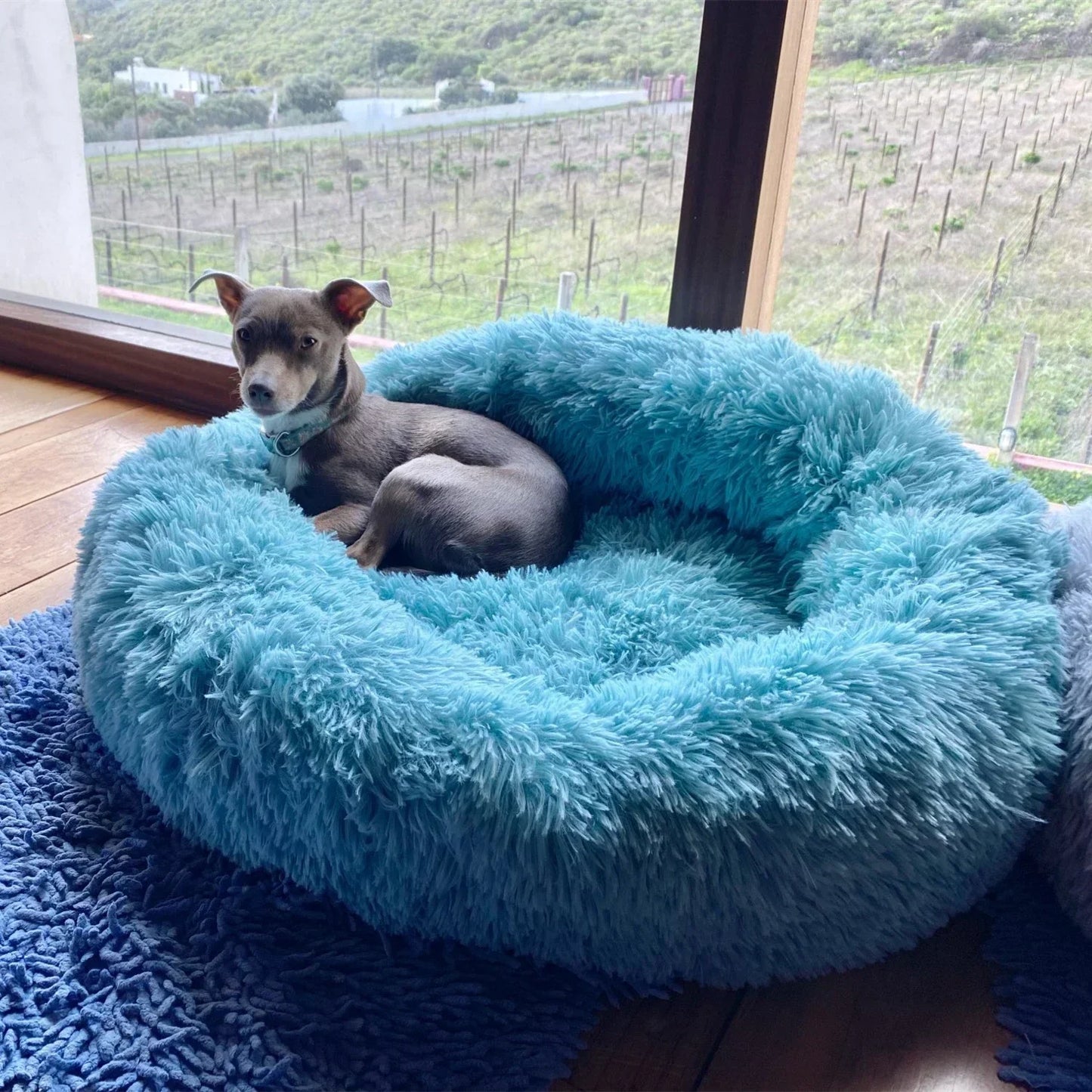 Plush Large Dog Bed