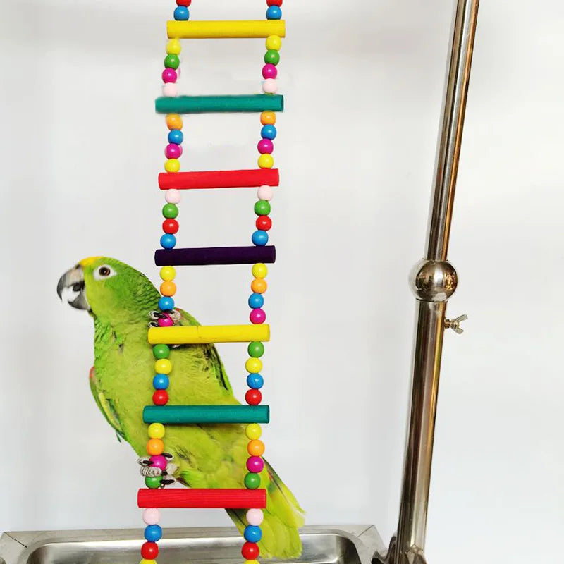 Colorful Bird Play Ladder