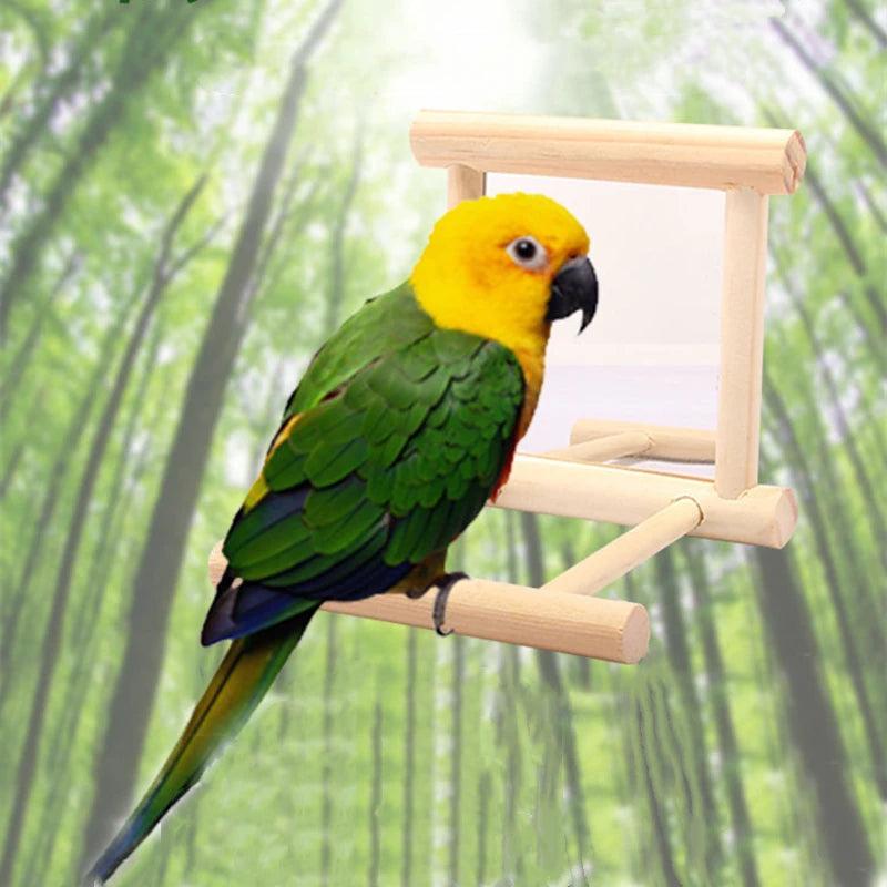 Bird Perch Mirror Stand