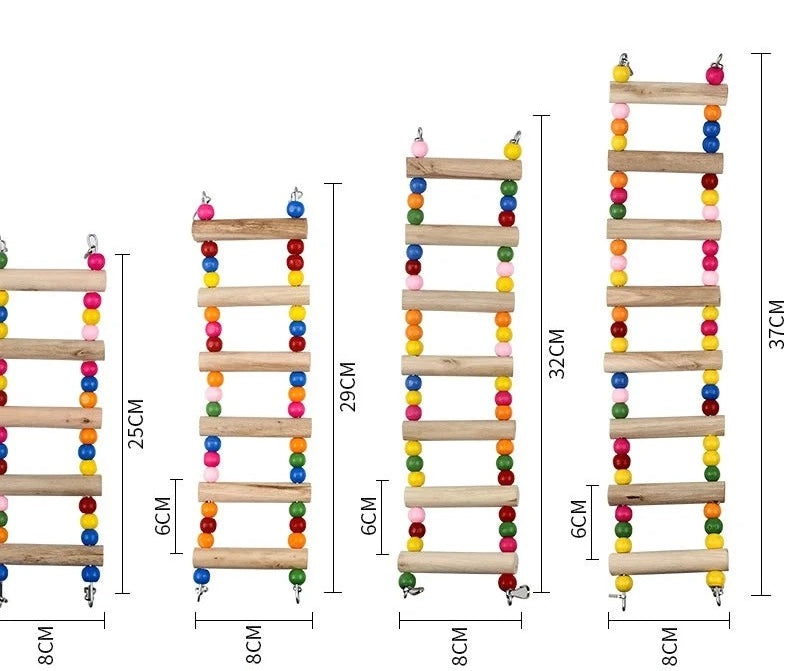 Colorful Bird Play Ladder