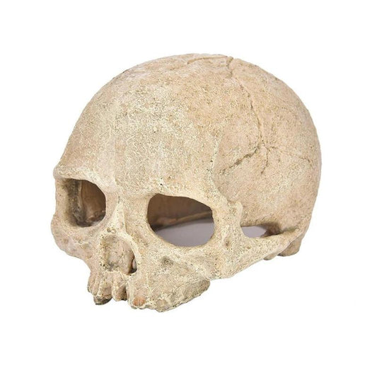 Aquarium Fossil Skull Decoration