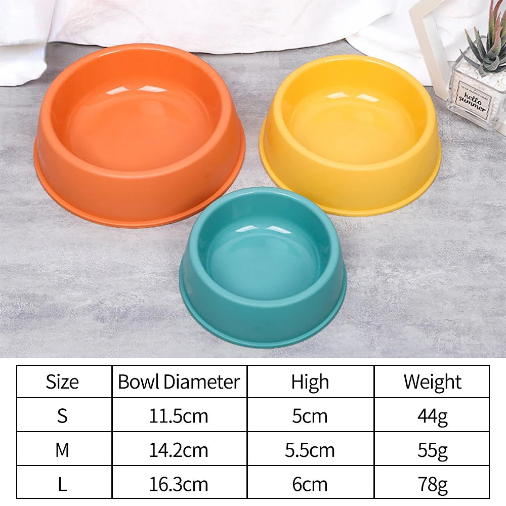 Colorful Pet Feeding Bowl