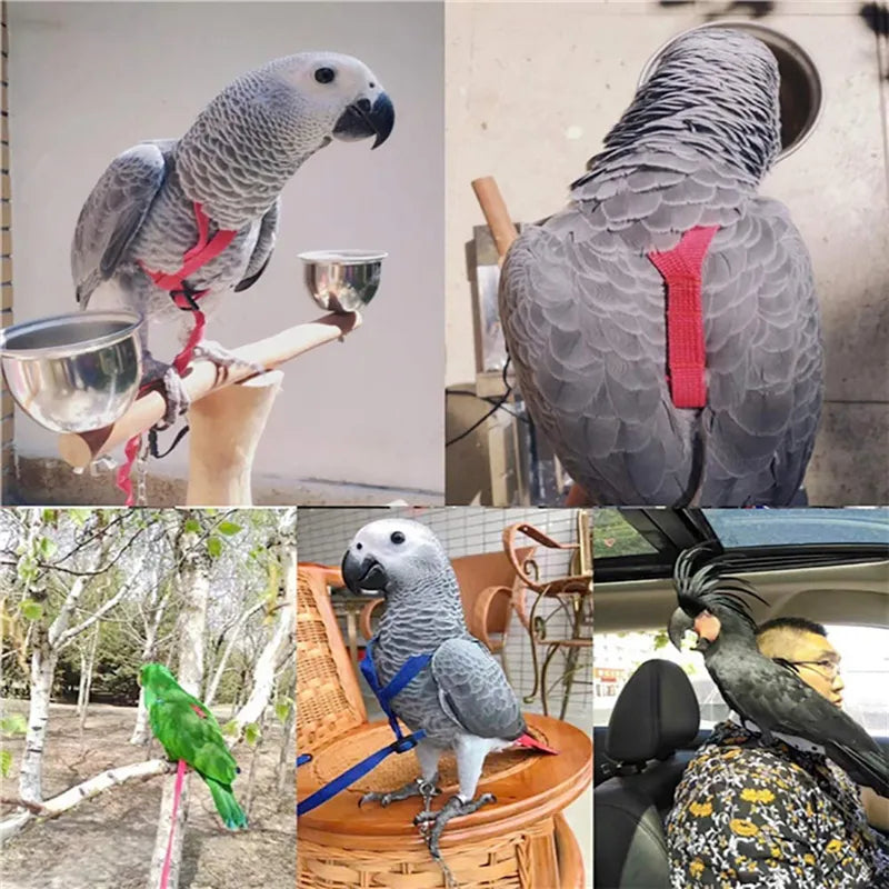 Adjustable Parrot Safety Harness