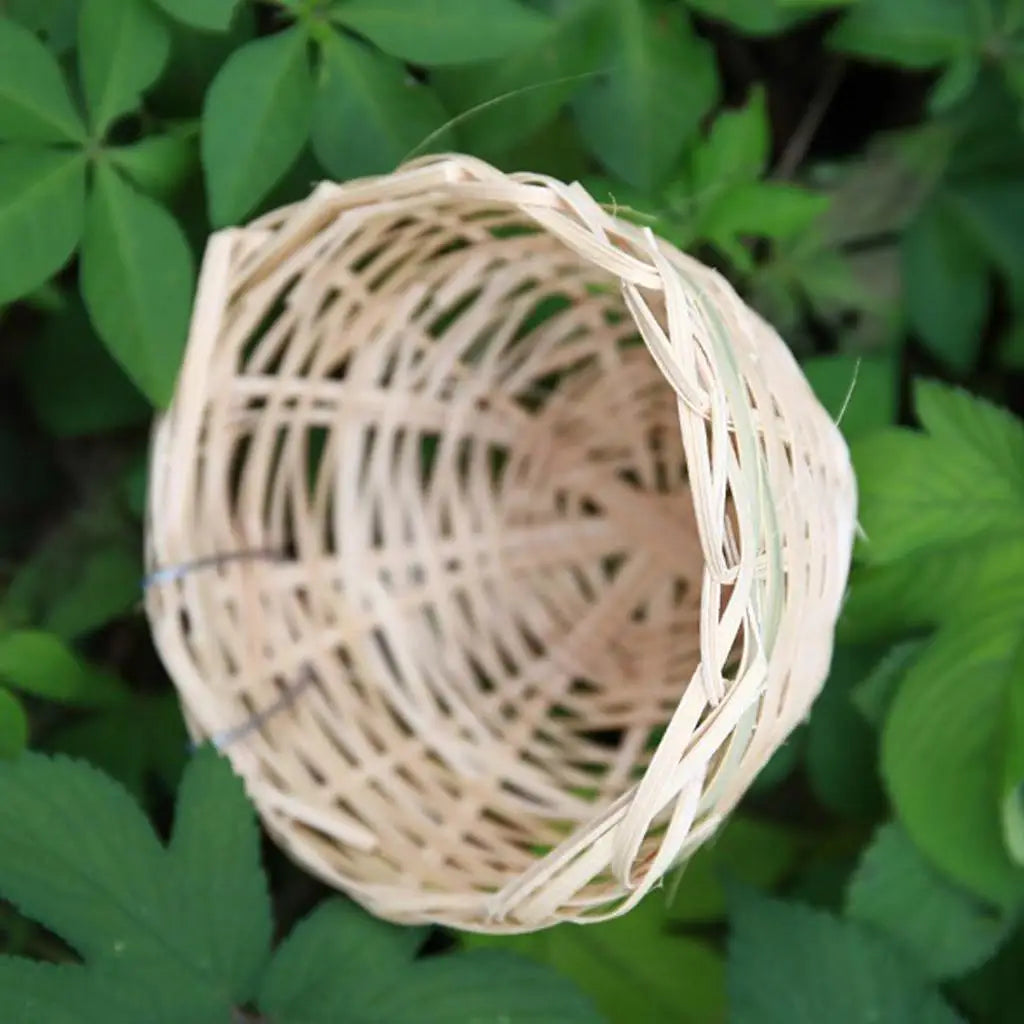 Rustic Woven Bird Nest